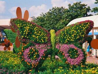 Butterfly In Garden Wallpaper