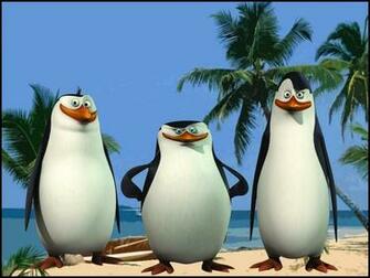 Penguins Wallpaper Beautiful Desktop