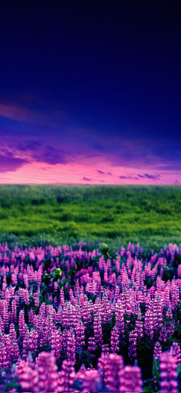 Wallpaper On X 4k For Your Smartphone Set Nature