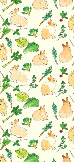 Cute Bunny Wallpaper For Your Phone