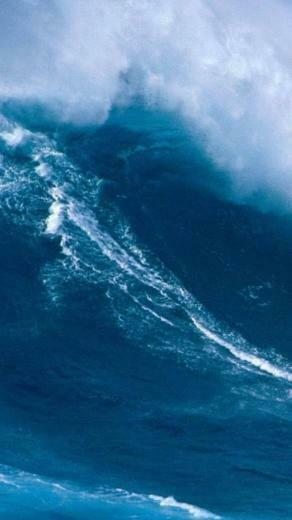 Surf Wallpaper iPhone Zone