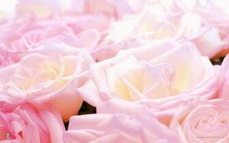 Pretty Pictures For Wallpaper