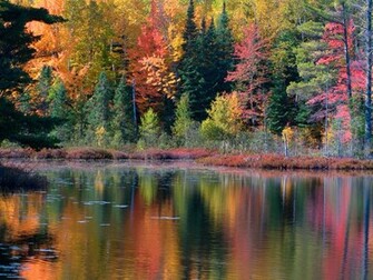 Turkey Wallpaper Fall River