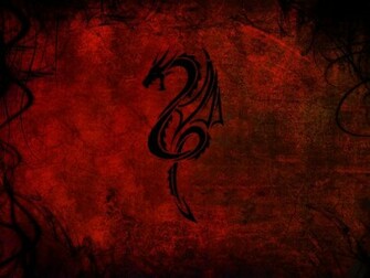 Dragon Wallpaper Image Paos Pictures And Background For