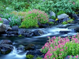 Image Online Spring Desktop Wallpaper