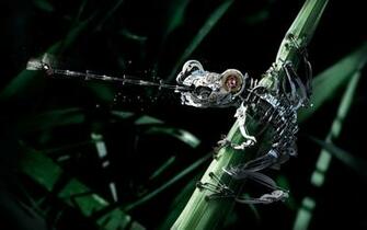 Robot Wallpaper Desktop 4usky
