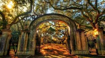 Wormsloe Historic Site Wallpaper World