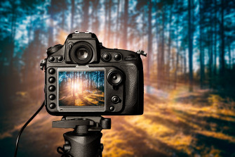 HD Camera In A Forest Wallpaper