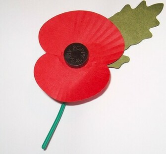 Beschreibung Royal British Legion S Paper Poppy White Background Jpg