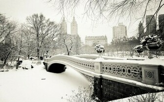 Winter In Central Park Wallpaper