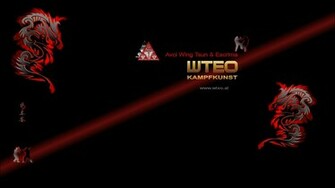 Neues Und Aktuelles Von Wing Tsun Seekirchen A Wallersee Salzburg