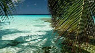 Tropical Beach Background Wallpaper Image