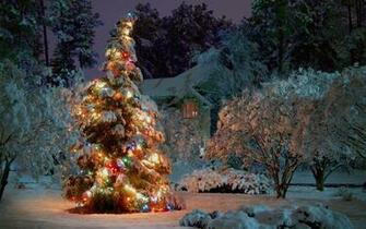 Lighted Christmas Tree And This New Year Wallpaper