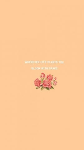 Encouraging Simple Aesthetic Quotes Wallpaper