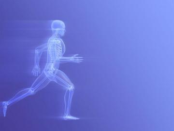 Best Physical Therapy Wallpaper Unbox