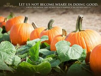 Do Good Desktop Wallpaper Scripture Verses Background