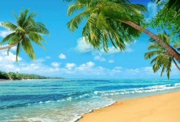 Aloha It Is Time To Have A Luau Party Beach Backdrop