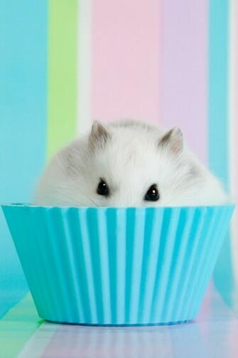 Cupcake Wallpaper iPhone Easter