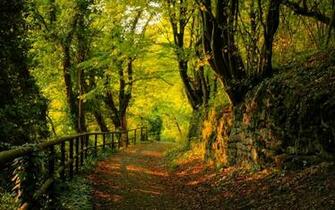 Nature Wallpaper Desktop HD