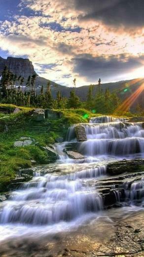 Nature Nexus Wallpaper HD And Background