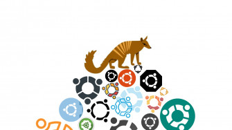 Numbat Wallpaper