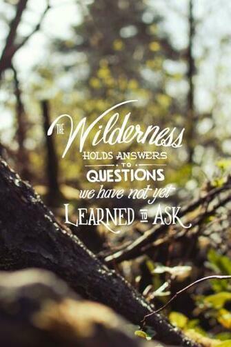 Screened Quotes