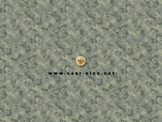 Digital Camouflage Wallpaper HD Desktop Background