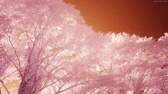 Click Here For The Full Sized Wallpaper X Px