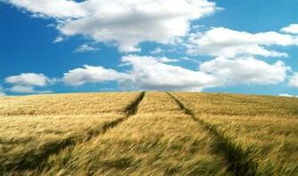 Wallpaper 8k Resolution 4k Desktop Super