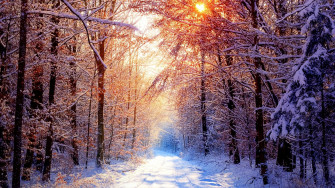 1080p Winter Wallpaper