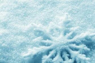Winter Snow Flakes Photo