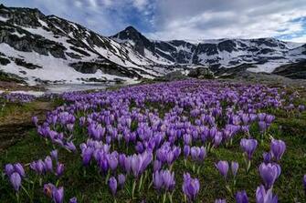 Watch Wallpaper Amazing Natural Landscape For Mobile Devices