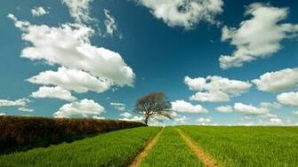 Showing Gallery For HD Landscape Wallpaper 1080p