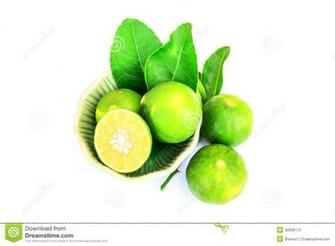 Lime Green And White Wallpaper HD Lovely