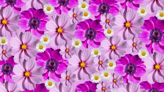 Stunning Flower Wallpaper To Elevate Your Desktop
