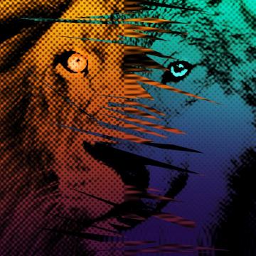 Lions Vs Wolves By Neworlder