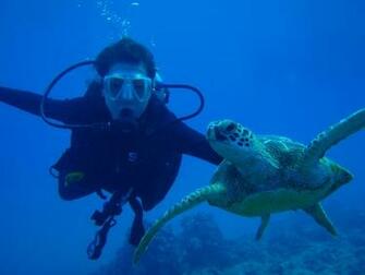 Hawaii Scuba Diving Wallpaper X HD Res