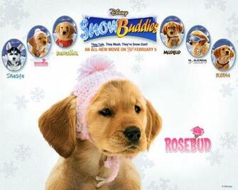Carriewhite Image Snow Buddies HD Wallpaper And Background Photos