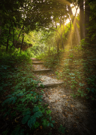 Natural Light Pictures Image