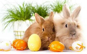Easter Cover Wallpaper Art Happy