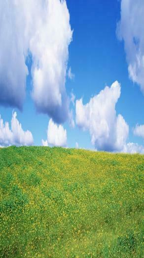 Blue Nature HD Wallpaper Landscape