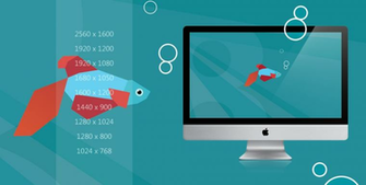 Windows Fish Wallpapert Png