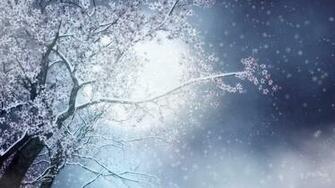Neige De Printemps Tardif Wallpaper