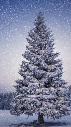 Axiolite Digital Art Network Al Big Christmas Tree