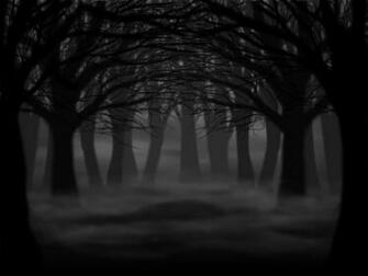 Dark Creepy Forest By Shystriker