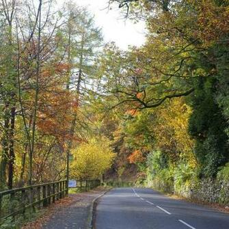 Autumn Country Road