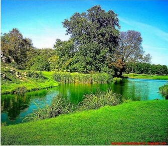 Large Size Image Of Nature Background Wallpaper