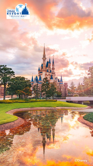 Disneyland Castle Wallpaper