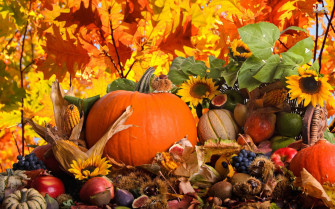 Harvest Pictures Wallpaper