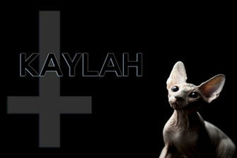 Satanic Cat Hail Satan And Cuddle Cats By